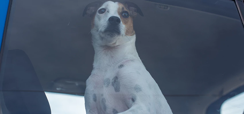 Car Lockout Solutions in Lomita, California